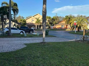 Anne C.'s lawn care service result