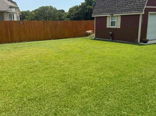 Jennifer H.'s lawn maintenance service result