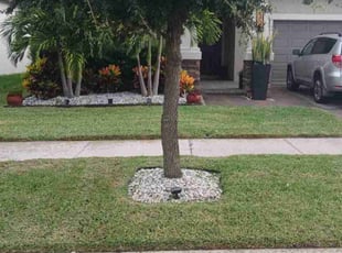 Robert D.'s lawn care services service result