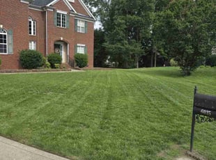 Jordan S.'s grass cutting service result