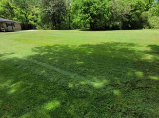 Marcus E.'s lawn maintenance service result