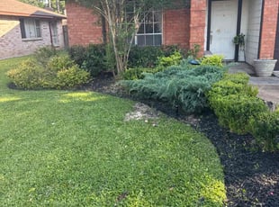 Nancy K.'s Bush Trimming service result