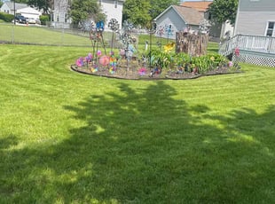 Delores W.'s lawn care services service result