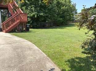 Colleen K.'s lawn care service result