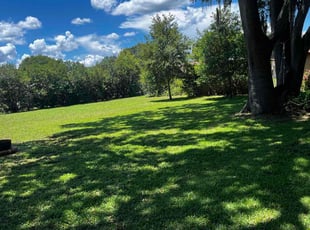 Marian P.'s grass cutting service result