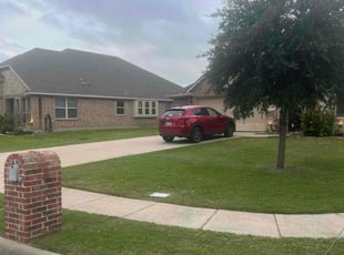 Raychel U.'s lawn care services service result