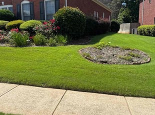 Natalie A.'s turf care service result