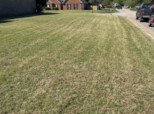 Shamiya H.'s grass cutting service result