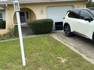 Darlene D.'s Bush Trimming service result