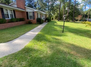 Ronald S.'s grass cutting service result