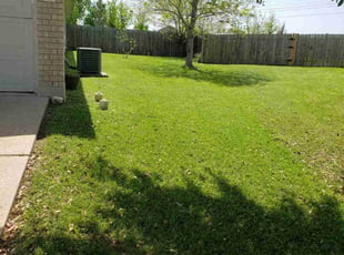 Kristi S.'s lawn maintenance service result