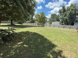 Jose V.'s lawn care service result