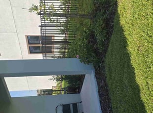 Alexandria A.'s turf maintenance service result