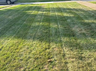James B.'s grass cutting service result