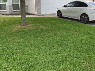 Taylor E.'s yard service service result