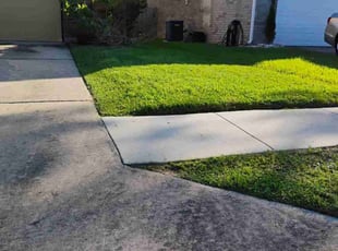 Catherine H.'s grass cutting service result