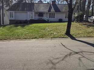 Evan C.'s Leaf Removal service result