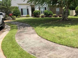 Meosha B.'s lawn service service result