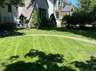 Ellen S.'s lawn care service result