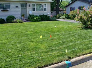 Dieu V.'s turf maintenance service result