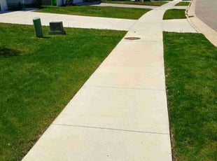 Rita D.'s turf care service result