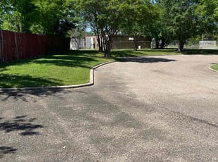 Chanita V.'s turf care service result
