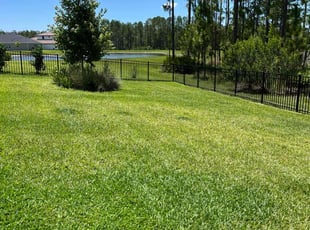 Frank J.'s lawn service service result