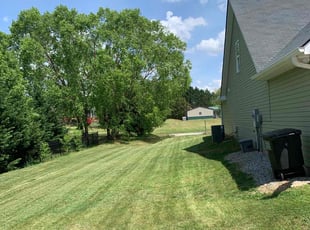 Jamarcus M.'s turf care service result