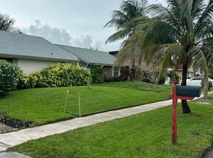 Whay C.'s grass maintenance service result