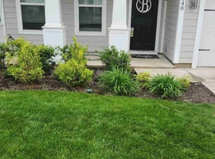 Aj E.'s Flower Bed Weeding service result