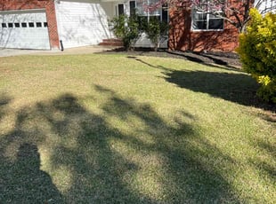 Steve P.'s Long Grass Cleanup service result