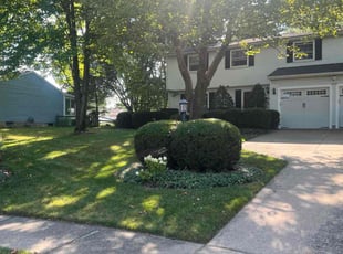 Brandon W.'s lawn care services service result