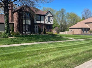 Tara R.'s grass maintenance service result
