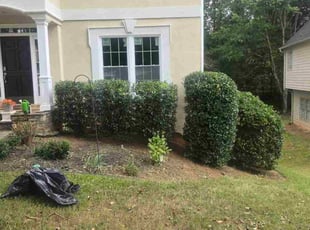 Kevin M.'s Bush Trimming service result