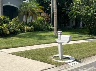 Jesse R.'s turf maintenance service result