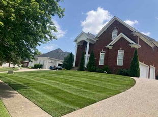 Stephan K.'s turf maintenance service result