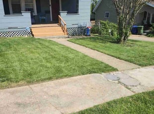 Donna J.'s turf care service result