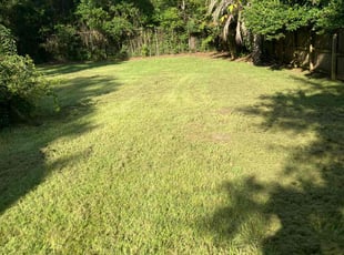 Merideth C.'s lawn service service result