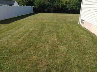 Cary A.'s turf maintenance service result