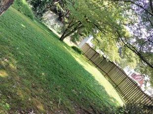 Loretta B.'s lawn maintenance service result