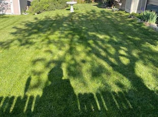 Nathaly A.'s grass cutting service result