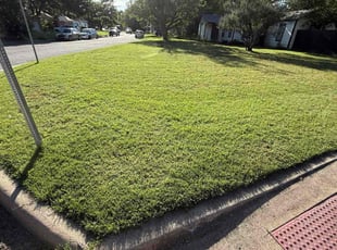 Alex N.'s lawn service service result