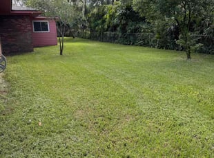 Leshay H.'s lawn service service result