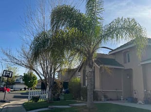 David M.'s lawn care services service result