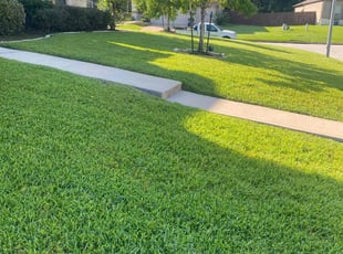 Steven L.'s landscaping service result