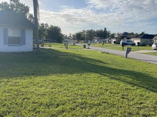 Jeremiah F.'s turf maintenance service result