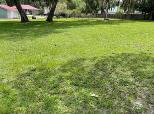 Roshondra M.'s lawn maintenance service result