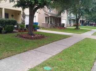 Haley C.'s turf maintenance service result