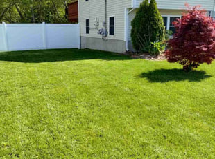 Chacara G.'s lawn service service result