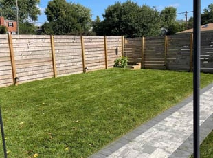 Renee M.'s lawn service service result